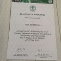 Resmi büyüt: certificate 2