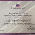 Resmi büyüt: certificate 13