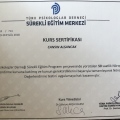 Resmi büyüt: certificate 3