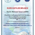 Resmi büyüt: certificate 19