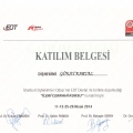 Resmi büyüt: certificate 2