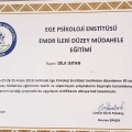 Resmi büyüt: certificate 11