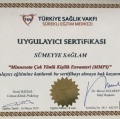 Resmi büyüt: certificate 10