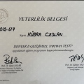 Resmi büyüt: certificate 3