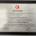 Resmi büyüt: certificate 2