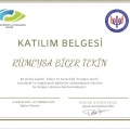 Resmi büyüt: certificate 8