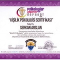 Resmi büyüt: certificate 15