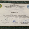 Resmi büyüt: certificate 1