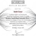 Resmi büyüt: certificate 15