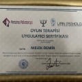Resmi büyüt: certificate 12