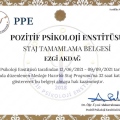 Resmi büyüt: certificate 1