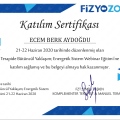 Resmi büyüt: certificate 2