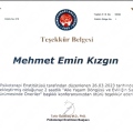 Resmi büyüt: certificate 28