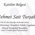 Resmi büyüt: certificate 8