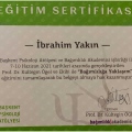 Resmi büyüt: certificate 3