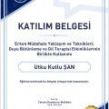 Resmi büyüt: certificate 19