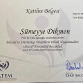 Resmi büyüt: certificate 11