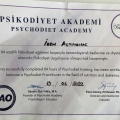 Resmi büyüt: certificate 2