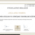 Resmi büyüt: certificate 9