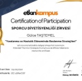 Resmi büyüt: certificate 15