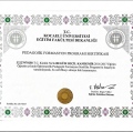 Resmi büyüt: certificate 14