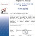 Resmi büyüt: certificate 89