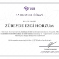 Resmi büyüt: certificate 23