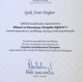 Resmi büyüt: certificate 8