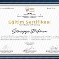 Resmi büyüt: certificate 36