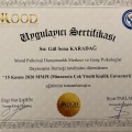 Resmi büyüt: certificate 5