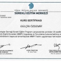 Resmi büyüt: certificate 13