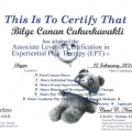 Resmi büyüt: certificate 25