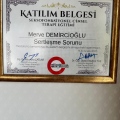 Resmi büyüt: certificate 27