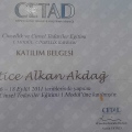 Resmi büyüt: certificate 8