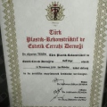 Resmi büyüt: certificate 5