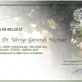 Resmi büyüt: certificate 23