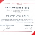 Resmi büyüt: certificate 29
