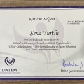 Resmi büyüt: certificate 6
