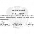 Resmi büyüt: certificate 44