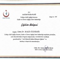 Resmi büyüt: certificate 3