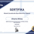 Resmi büyüt: certificate 5