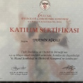 Resmi büyüt: certificate 4