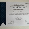 Resmi büyüt: certificate 6
