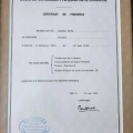 Resmi büyüt: certificate 7