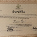 Resmi büyüt: certificate 6