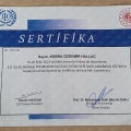 Resmi büyüt: certificate 2