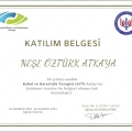 Resmi büyüt: certificate 4
