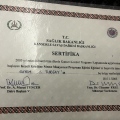 Resmi büyüt: certificate 26