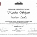 Resmi büyüt: certificate 10