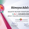 Resmi büyüt: certificate 10